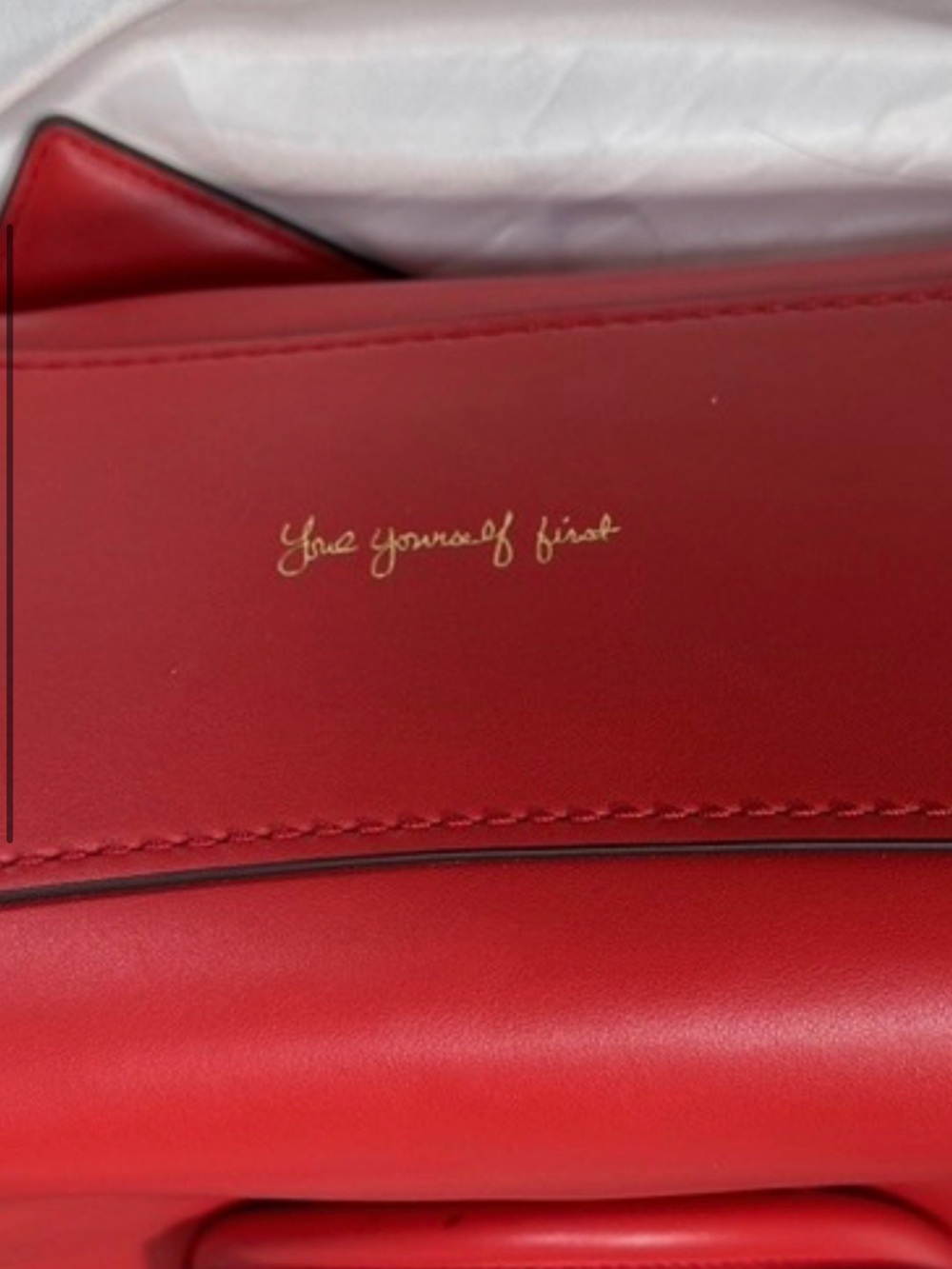 Limited Edition | Selena Gomez x Coach | Coach Grace Bag - Picture 12 of 12
